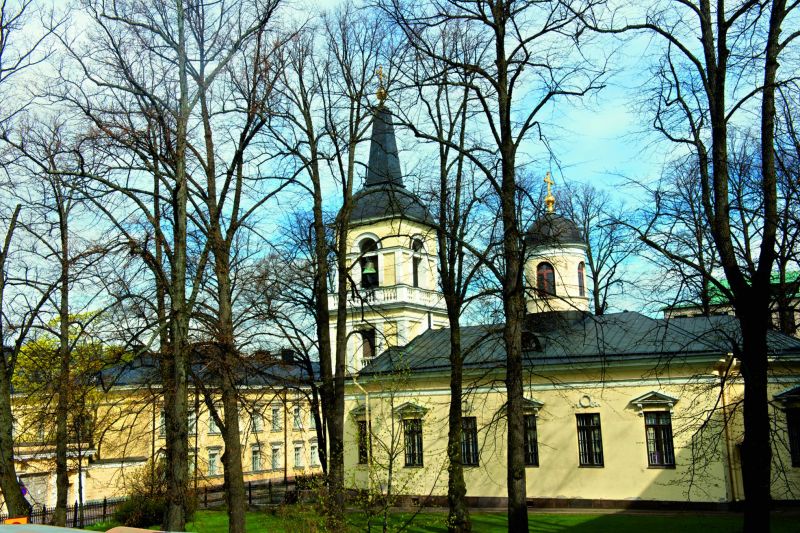 Majestic trees near the Lutheran Cathedral, Senate Square, Helsinki