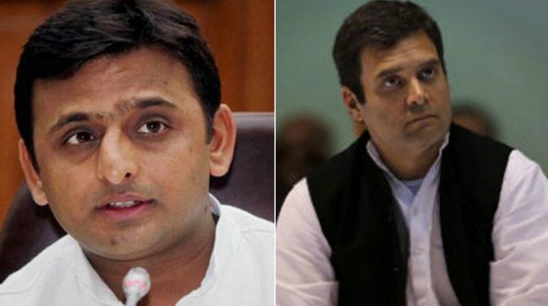 Gandhi has been aggressively attacking Centre and Prime Minister Narendra Modi but has taken only veiled jibes at the SP government in the state. (Photo: File)