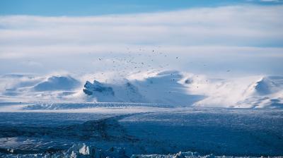 The study also found that coastal submersion could displace as many as 1.3 billion people worldwide (Photo: Pixabay)