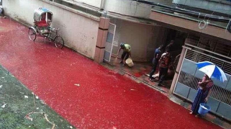 Streams of bloody water were flowing on the streets of Dhaka, Bangladesh, on Tuesday after heavy rainfall and Eid al-Adha celebrations. (Photo: Twitter/@ReesEdward)