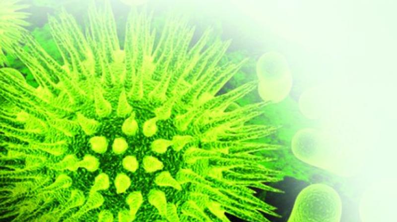 It enters human body through a wound causing  infections, some life threatening.