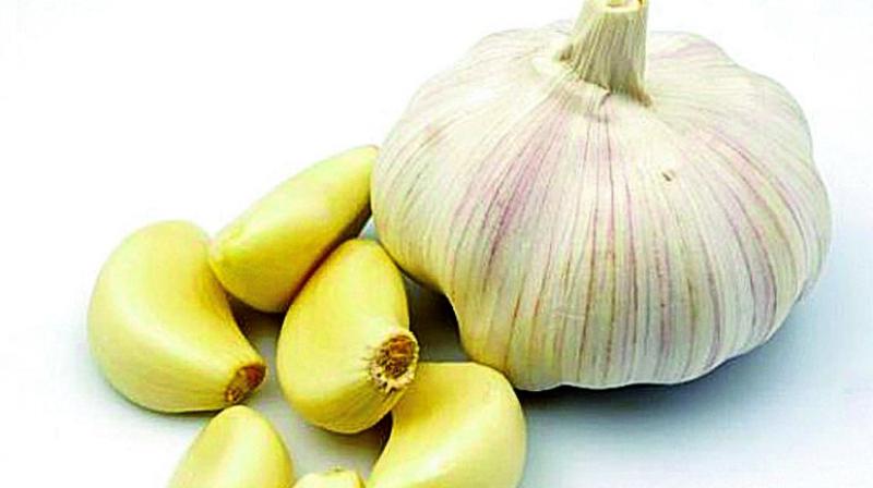 Garlic Garlic