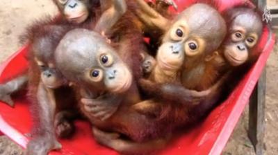 The curriculum of the school is very interesting. (Photo: Facebook/ greatbigstory)