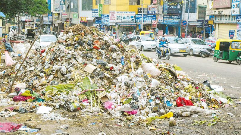 The government has made segregation mandatory, but the city roads and open spaces are filled with piles of garbage. (Photo: Shashidhar B.)