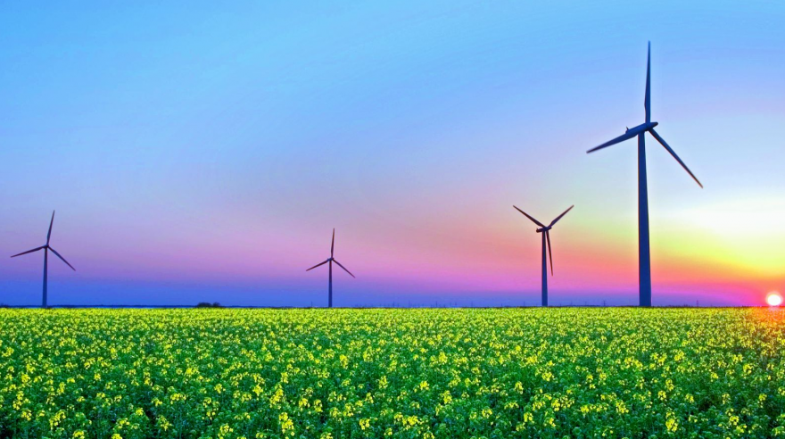 Scientists have discovers electricity from wind energy (Representational Image) Scientists have discovers electricity from wind energy (Representational Image)