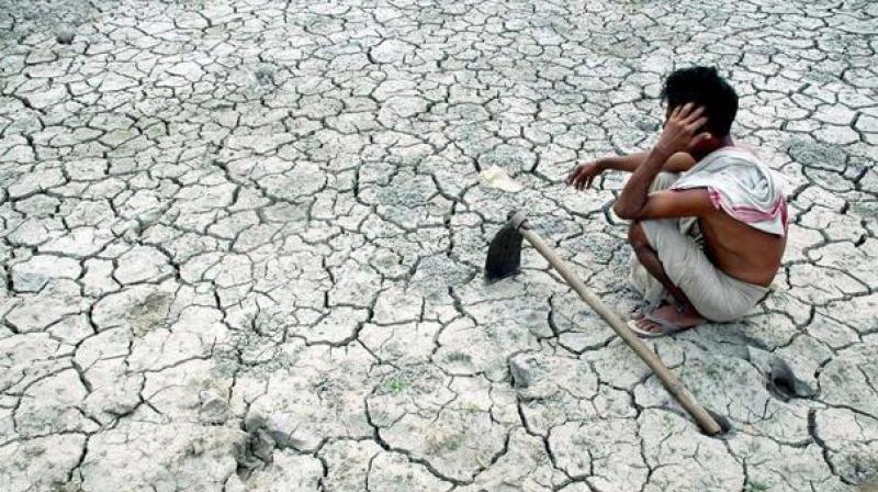 The drought order stated that monsoon arrival was delayed by about a week in June in Karnataka and rainfall in June was recorded at 56 deficit rainfall than in normal rainfall years.  Representational Image/AFP