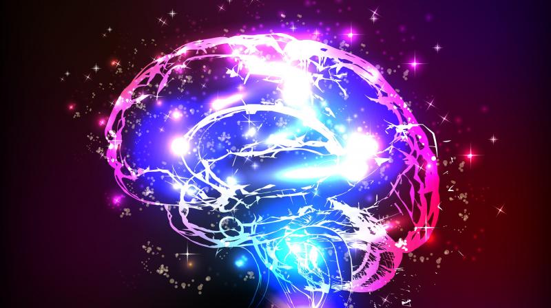 The cerebral cortex is the part that is responsible for higher cognitive functions such as abstract through, language and memory. The cerebral cortex is the part that is responsible for higher cognitive functions such as abstract through, language and memory.