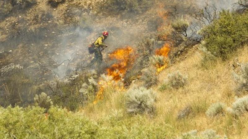 The fire is one of a series that have hit the drought-stricken state this summer, where dried grass and bush land as well as high temperatures in the region have helped fuel the blazes. (Photo: AP) The fire is one of a series that have hit the drought-stricken state this summer, where dried grass and bush land as well as high temperatures in the region have helped fuel the blazes. (Photo: AP)
