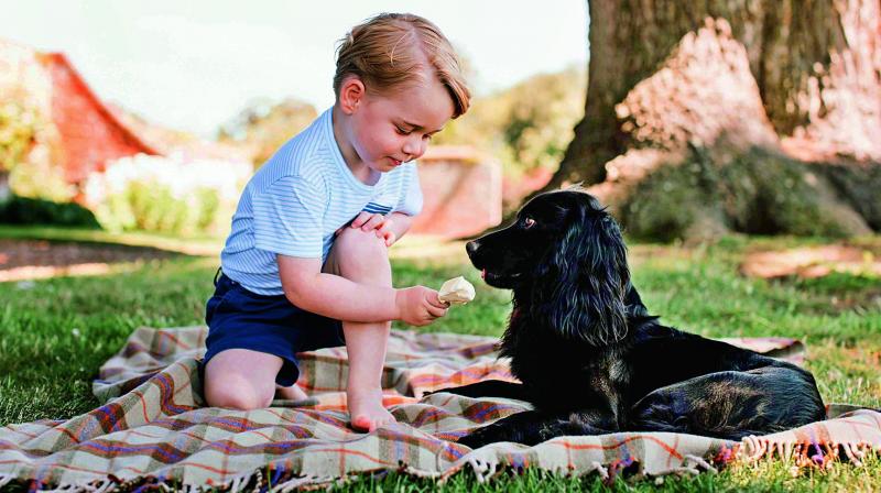 Prince George with the family dog Lupo. (Photo: AFP) Prince George with the family dog Lupo. (Photo: AFP)